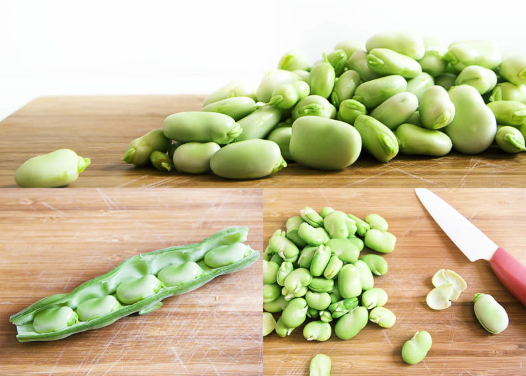 Fresh Corn and Fava Bean Salad Just a Little Bit of Bacon
