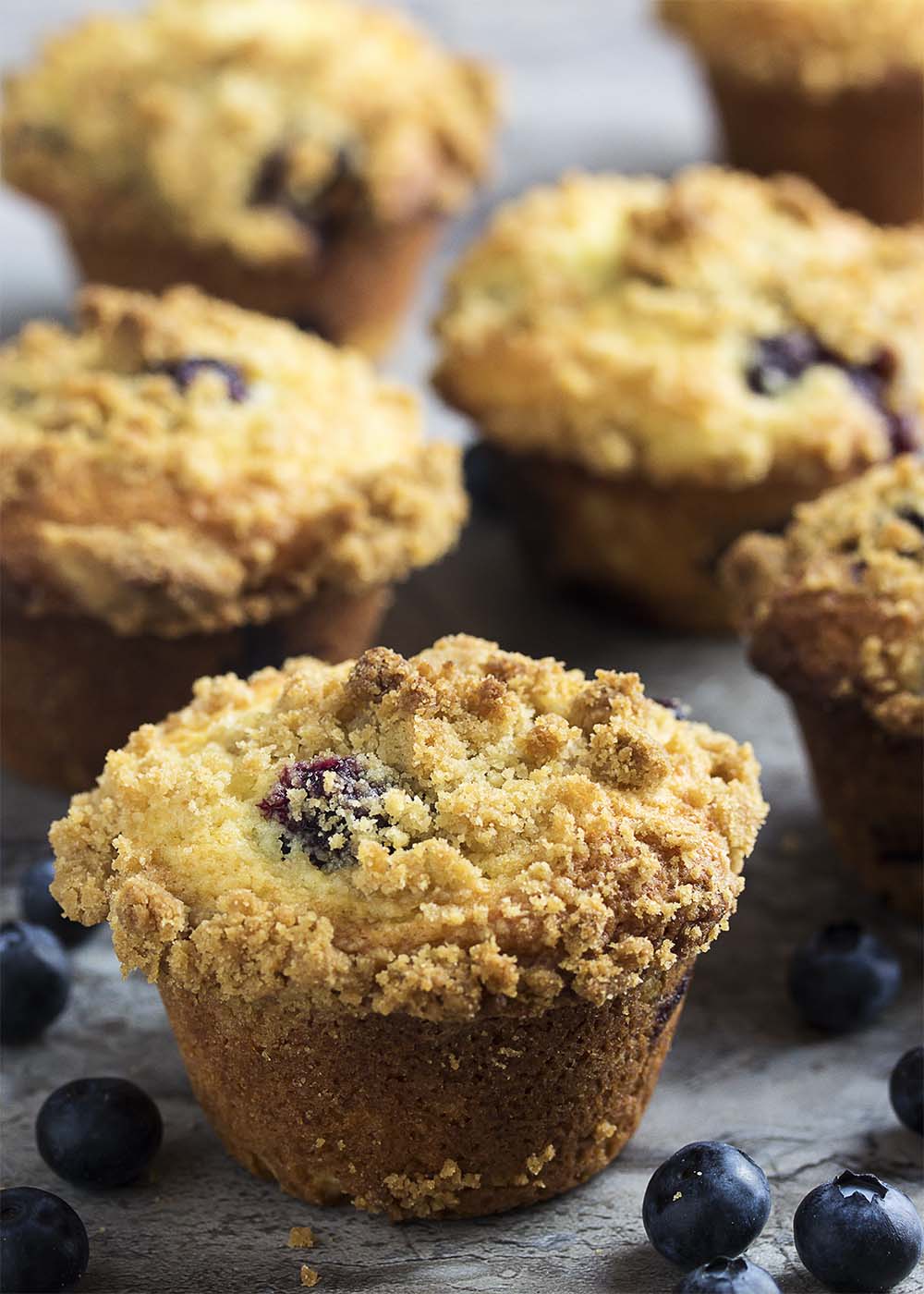 Meyer lemons provide a great, complex, floral flavor to this easy recipe for crumb topped blueberry ricotta muffins. Great for breakfast or any time of the day! | justalittlebitofbacon.com