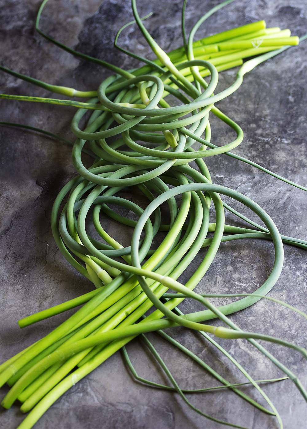 What are garlic scapes? How to use garlic scapes? How to cut and store garlic scapes? These questions and more answered in this ingredient spotlight. | justalittlebitofbacon.com