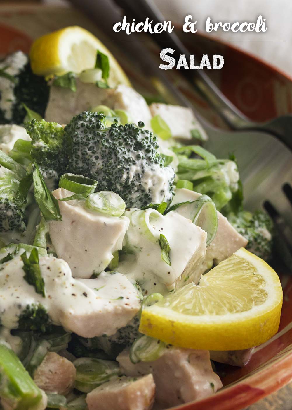 Juicy diced chicken and tender broccoli are tossed with a creamy, cottage cheese dressing in this simple but substantial summer salad. Healthy, low carb, and easy! | justalittlebitofbacon.com