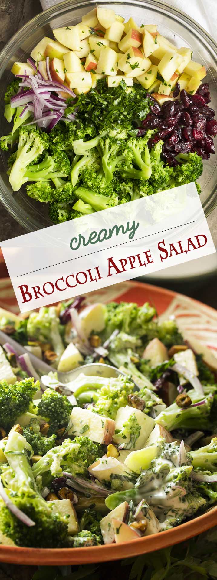 My creamy broccoli apple salad is full of flavor! It's tossed with a tangy buttermilk dressing and has a nice balance between sweet and savory. Great for summer bbqs or for the holiday table. | justalittlebitofbacon.com