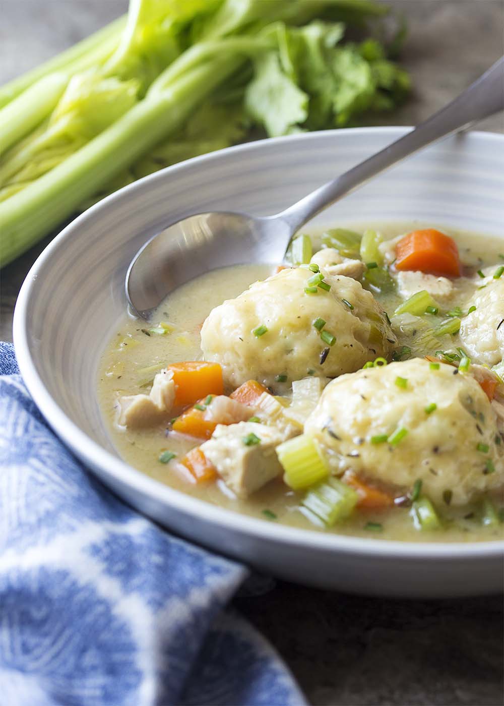 A wide bowl full of homemade chicken and dumplings all topped by fresh chives.
